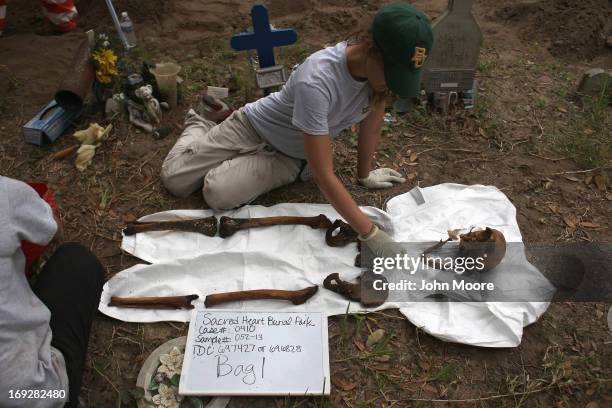 An anthropology student reassembles the bones of a suspected undocumented immigrant after the remains were exhumed from a gravesite on May 22, 2013...