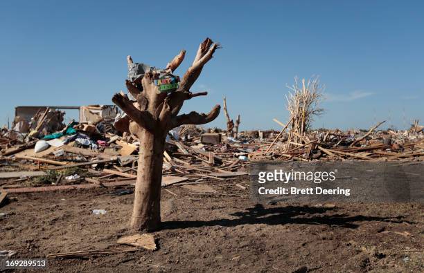 Tree with its bark stripped by the tornado May 22, 2013 in Moore, Oklahoma. The two-mile-wide Category 5 tornado touched down May 20 killing at least...