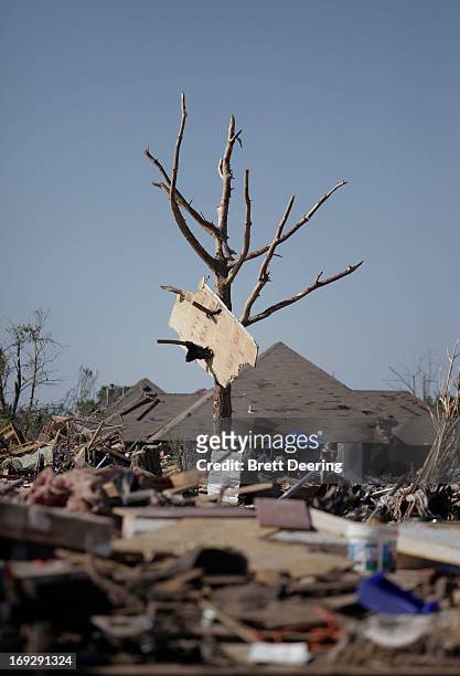 Tree with plywood impaled on its limbs by the tornado May 22, 2013 in Moore, Oklahoma. The two-mile-wide Category 5 tornado touched down May 20...