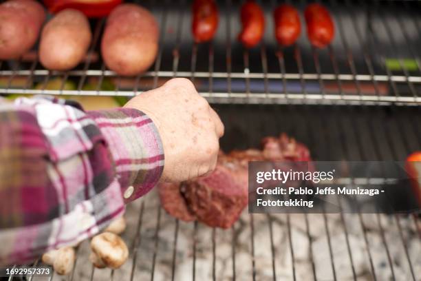 preparing a barbecue - roasted chile stock pictures, royalty-free photos & images