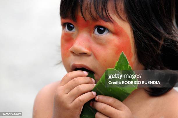 An Ecuadorean Waorani boy at the Yasuni National Park, at the Ecuadorean Amazon forest, on August 21, 2010. AFP PHOTO / RODRIGO BUENDIA