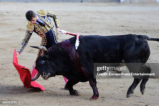 Ivan Fandino pefroms during press bullfights at Plaza de Toros de Las Ventas on May 22, 2013 in Madrid, Spain.