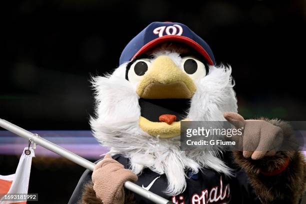 The Washington Nationals mascot performs during the game against the Chicago White Sox at Nationals Park on September 19, 2023 in Washington, DC.