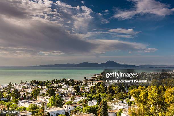 carthage, punic ports & gulf of tunis - tunis stock pictures, royalty-free photos & images