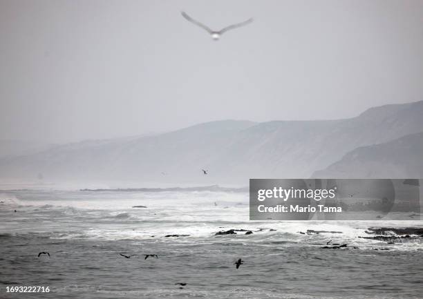 Birds fly above Pacific Ocean waves in a marine area which is part of the proposed Chumash Heritage National Marine Sanctuary along California’s...