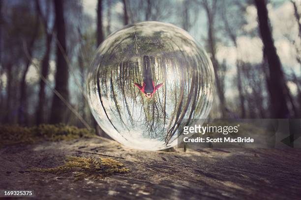 jumping in the crystal forest - scott macbride stock pictures, royalty-free photos & images