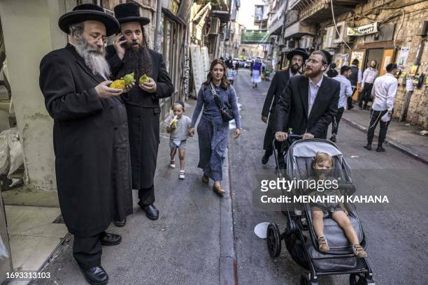 Ultra Orthodox Jews inspect etrogim , one of four species to be used during the celebration of Sukkot in Jerusalem's neighbourhood of Mea Shearim on...