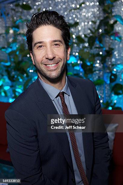 David Schwimmer attends Michigan Avenue Magazine Celebrates Cover Star David Schwimmer With Russian Standard Vodka At The Dec Rooftop Lounge + Bar on...