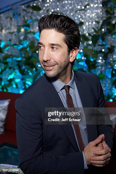 David Schwimmer attends Michigan Avenue Magazine Celebrates Cover Star David Schwimmer With Russian Standard Vodka At The Dec Rooftop Lounge + Bar on...