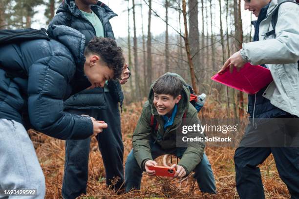 fotografieren von waldböden - boy taking picture in forest stock-fotos und bilder