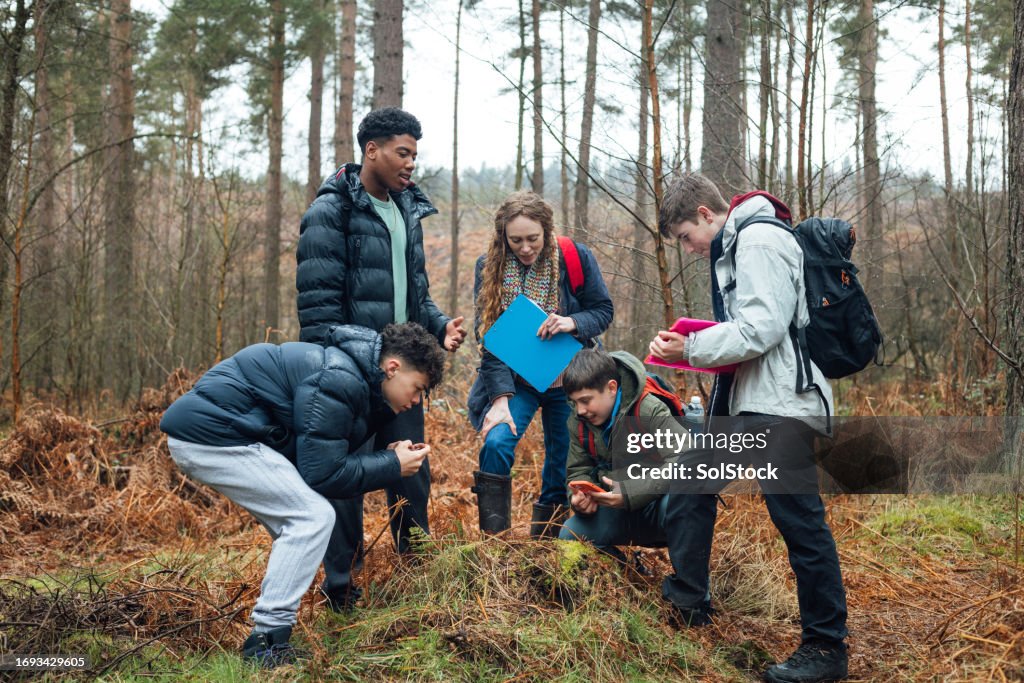Inspecting in the Wilderness