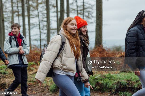 student field trip adventures - season 14 stockfoto's en -beelden