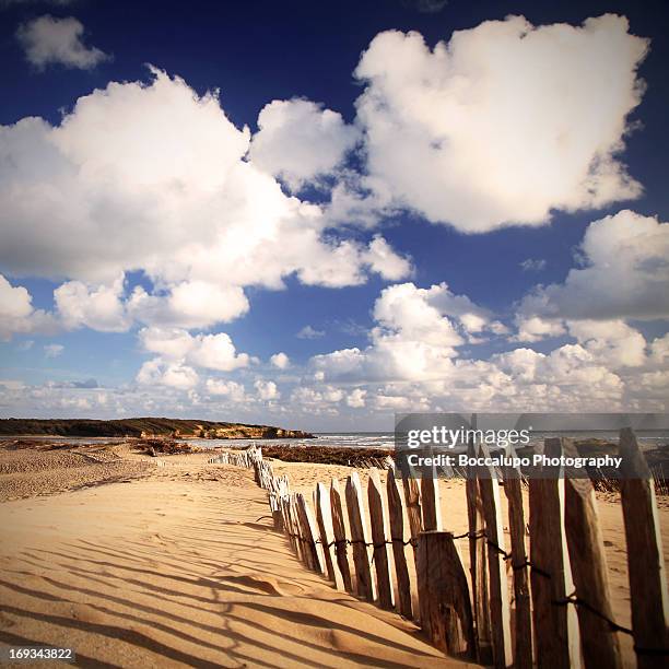 le veillon - vendee stock pictures, royalty-free photos & images