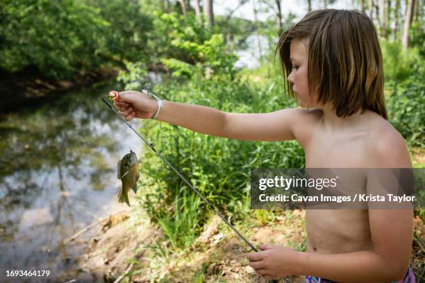 young boy holding up a fish on fishing rod by a stream outdoors - bluegill 個照片及圖片檔