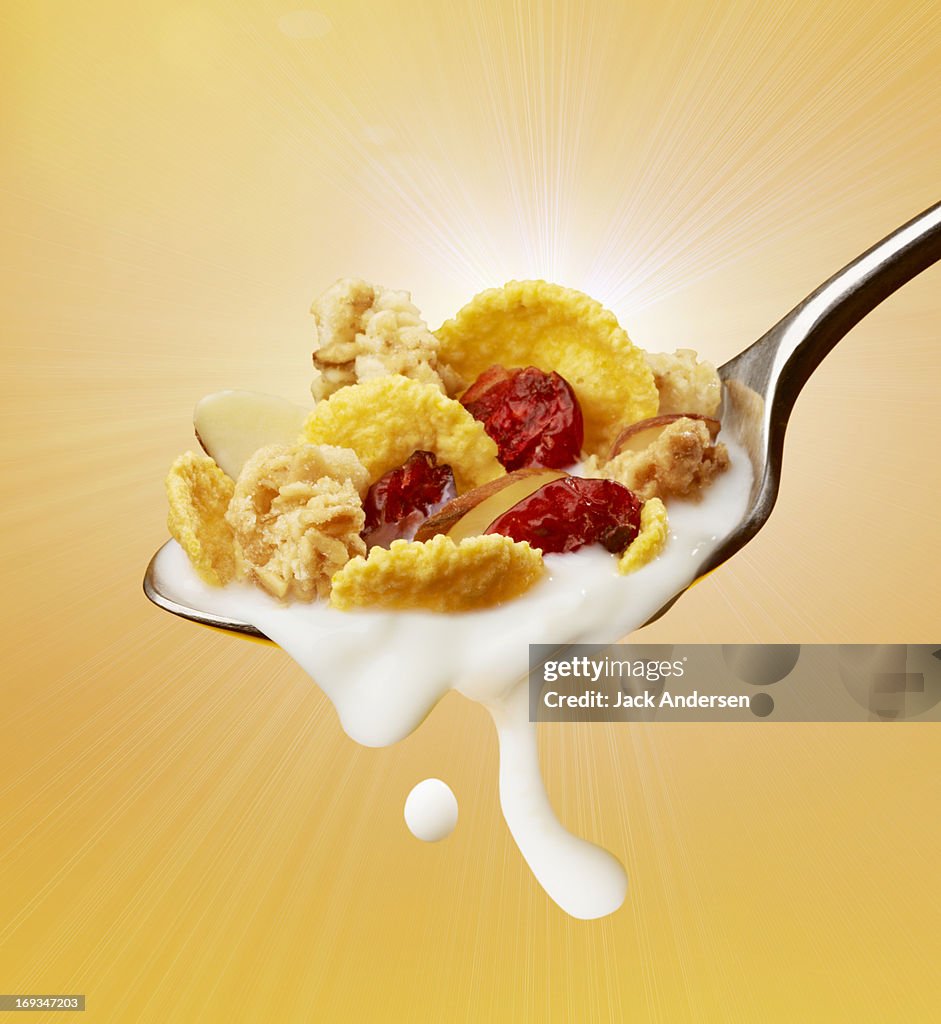 Breakfast Cereal