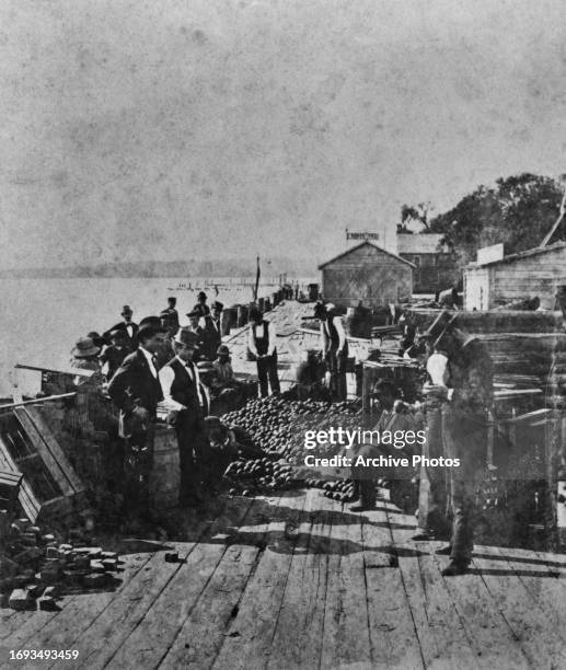 Group of men on a dockside as they prepare to ship oranges from Savannah, Georgia, circa 1885. The image is one-half of a stereoscopic image.