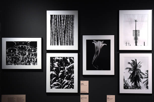 ITA: "Tina Modotti, The Work" Exhibition Preview