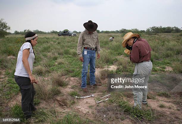 Benny Martinez , Chief Deputy of the Brooks County Sheriff's Department, and anthropologists collect human bones from a suspected undocumented...