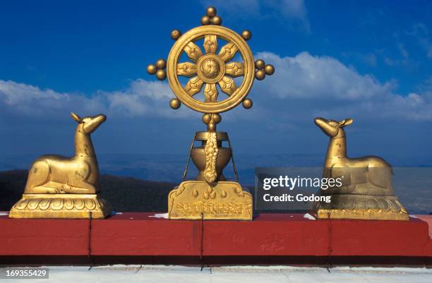 Dharma Ruler 127 Dharma Wheels Stock Photos, High-Res Pictures, and Images - Getty ...