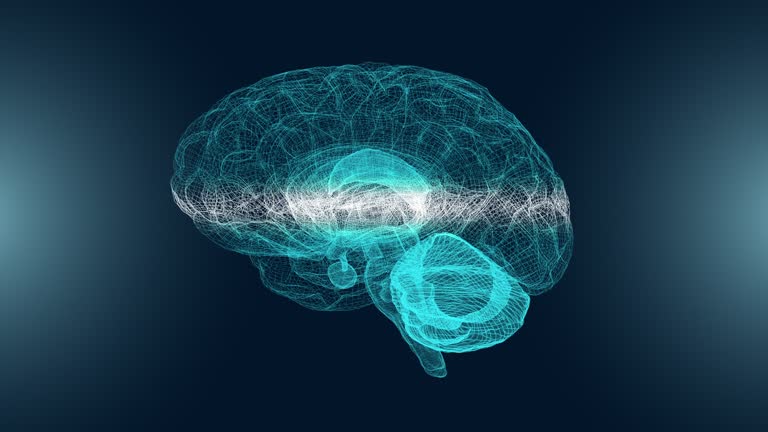 Abstract. Brain Loop Layers Of The Brain Videos and HD Footage - Getty Images