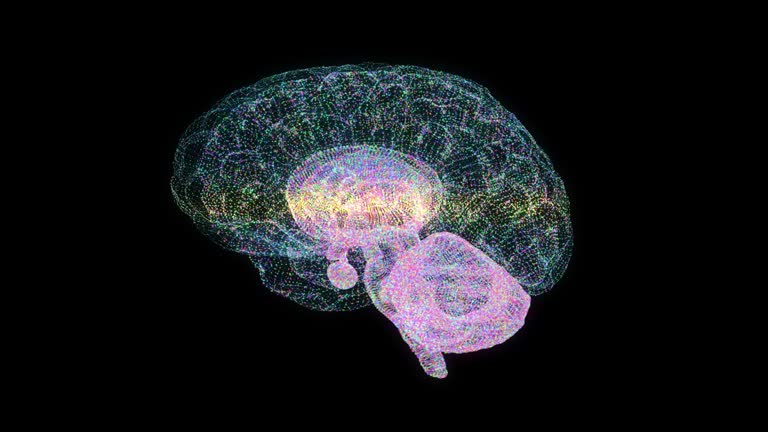 Ct Scan Brain Anatomy Videos and HD Footage - Getty Images