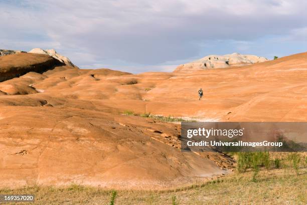 Hiker walks across the endless sandstone that contains Lake Powell A part of the Glen Canyon National Recreation Area spread across parts of northern...