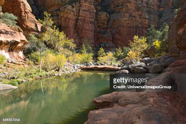 Supai sandstone pool in Wood's canyon in northern Arizona.