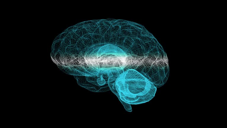 Brain Looping Layers Of The Brain Videos and HD Footage - Getty Images