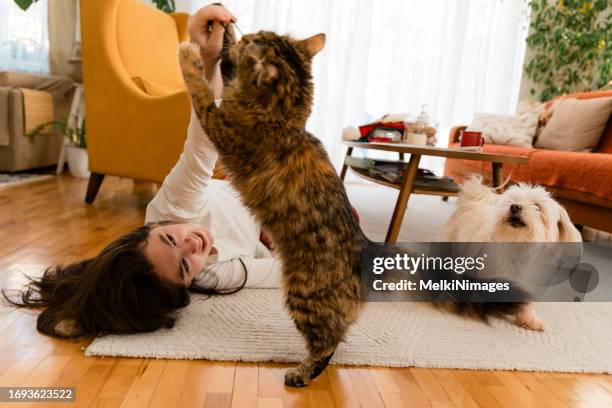 girls lying on the floor and playing with her pets - dog cat playing stock pictures, royalty-free photos & images