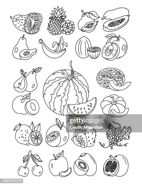 fruits doodle set - jackfruit stock illustrations