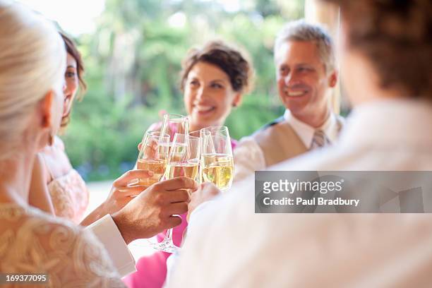 guests toasting with champagne at wedding reception - outdoor wedding stock pictures, royalty-free photos & images