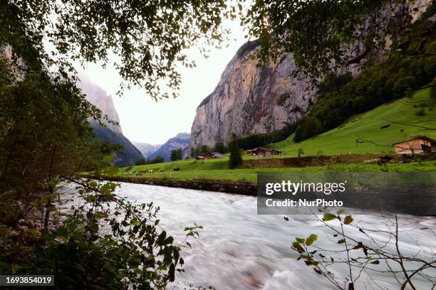 View of the river with the mountains. Farmers across Switzerland return their herds of cows, sheep, and goats from the high-altitude pastures to...