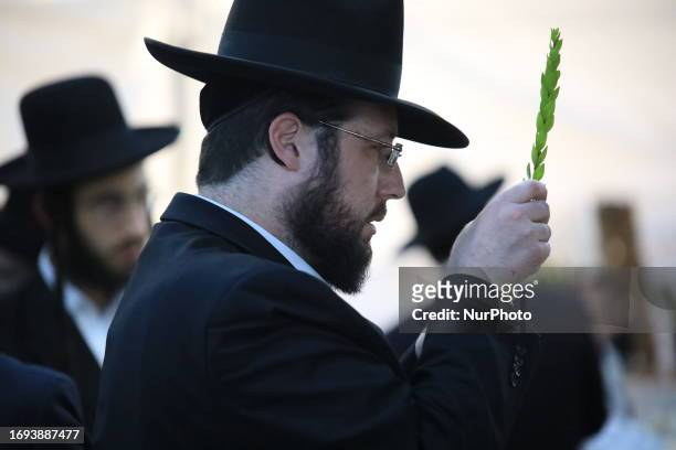 Orthodox Jewish man inspects an Etrog, or a citron, used in rituals performed during the upcoming Jewish festival of Sukkot in Jerusalem on Sept. 27,...