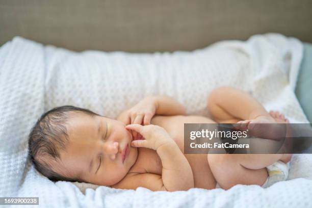 newborn sleeping - newborn stock pictures, royalty-free photos & images