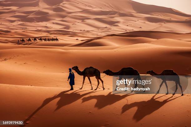 young tuareg with camels on western sahara desert in africa - beduíno imagens e fotografias de stock