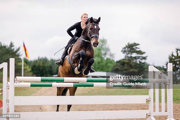 show jumping - equestrian show jumping foto e immagini stock