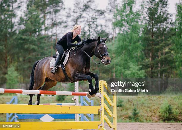 horse jumping - montare-su-un-veicolo foto e immagini stock