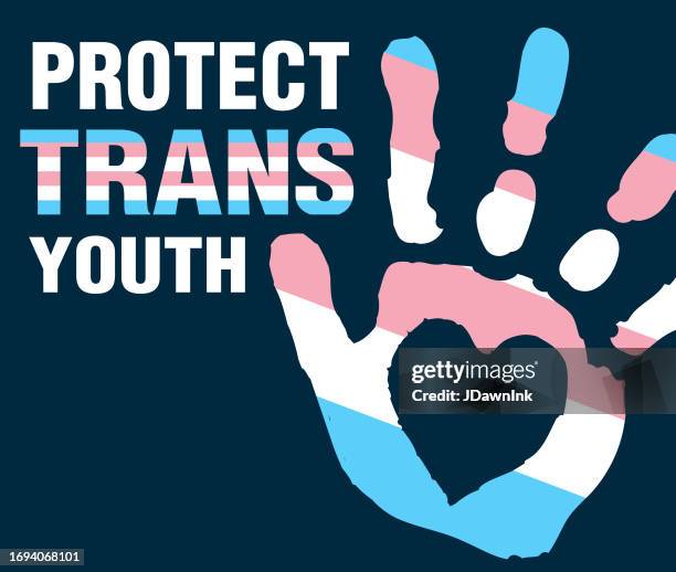 Signs For Trans Rights Trans Rights Flag High Res Illustrations - Getty Images