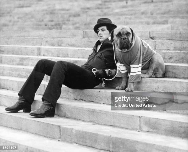 American actor Sylvester Stallone sits on a staircase while holding the leash of a dog wearing a football jersey in a still from the film, 'Rocky,'...