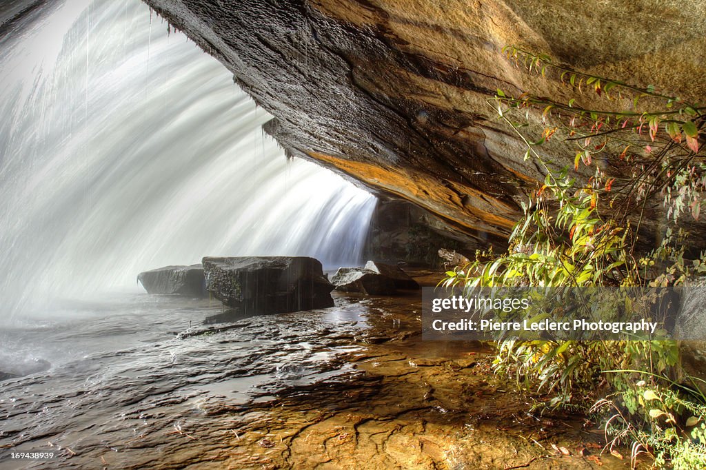 Under Bridal Veil Falls, Dupont State Forest