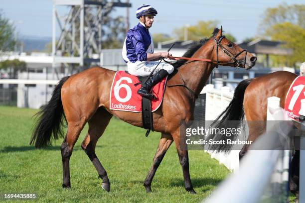 Miss You Too ridden by Billy Egan returns to the mounting yard after winning the The Property Group Maiden Plate at Moe Racecourse on September 28,...