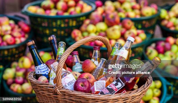 September 2023, Hesse, Frankfurt/Main: Cider and fruit juice specialties will be presented in a basket with apples from meadow orchards, while the...