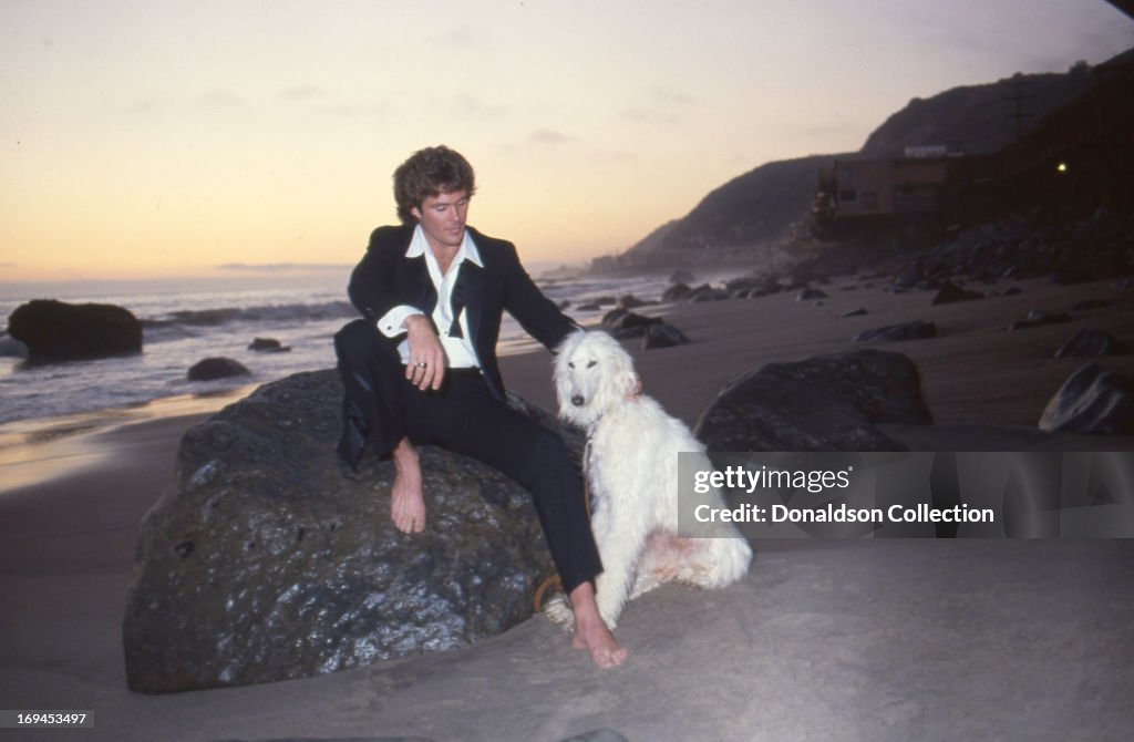 David Hasselhoff Portrait Session On The Beach