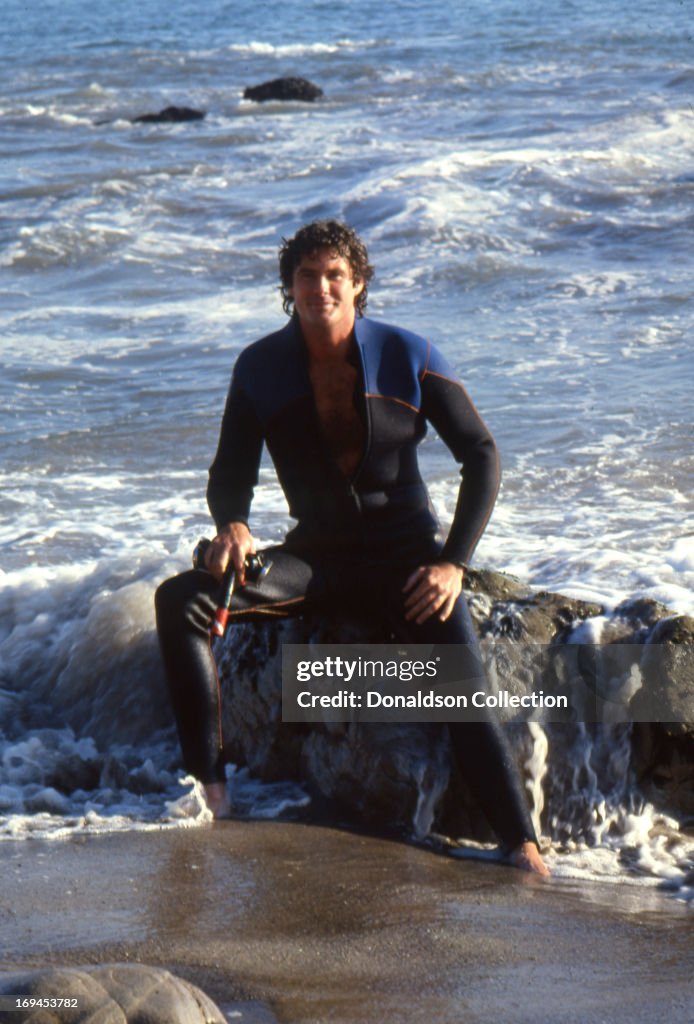 David Hasselhoff Portrait Session