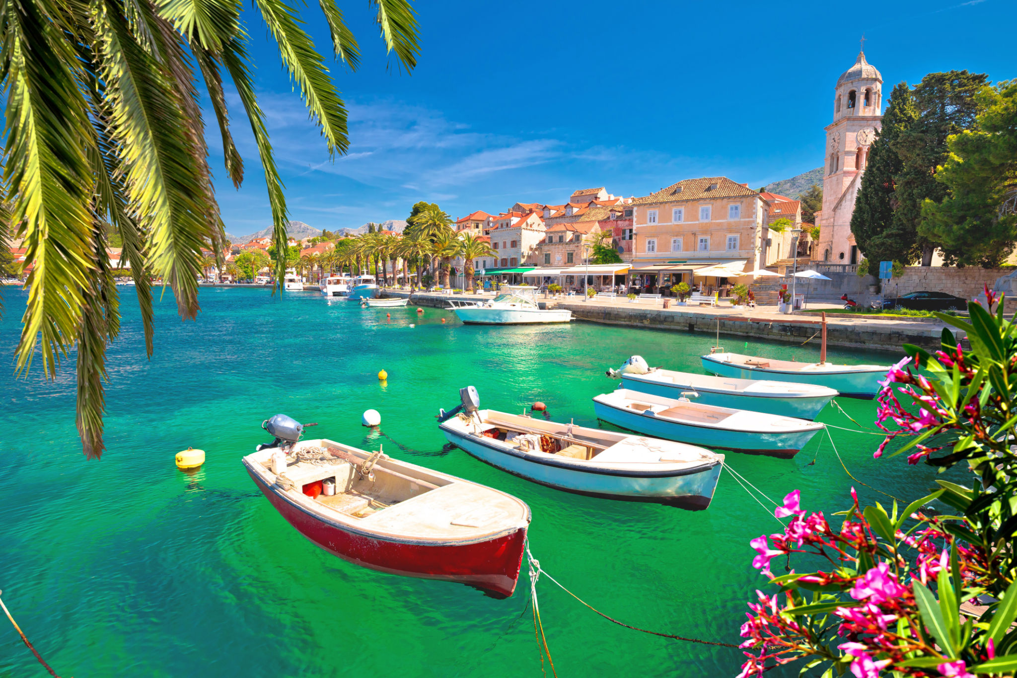 Turquoise waterfront of Cavtat palm and flowers view Turquoise waterfront of Cavtat palm and flowers view