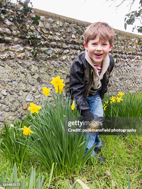 boy finding an easter egg - easter egg hunt stock pictures, royalty-free photos & images