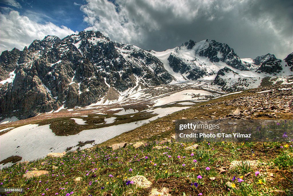 Chimbulak Meadows