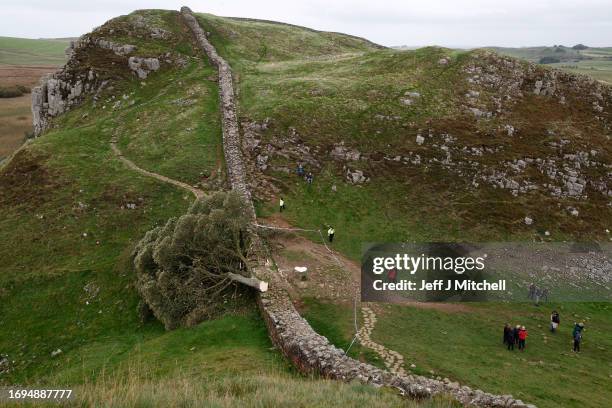 Sycamore Gap' tree on Hadrian's Wall now lies on the ground, leaving behind only a stump in the spot it once proudly stood on September 28, 2023...