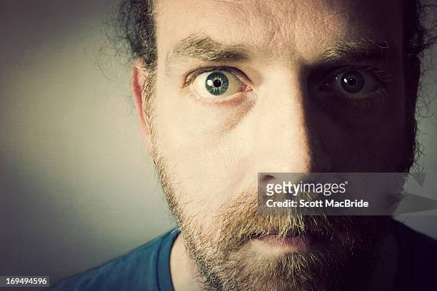 focused - scott macbride stock pictures, royalty-free photos & images