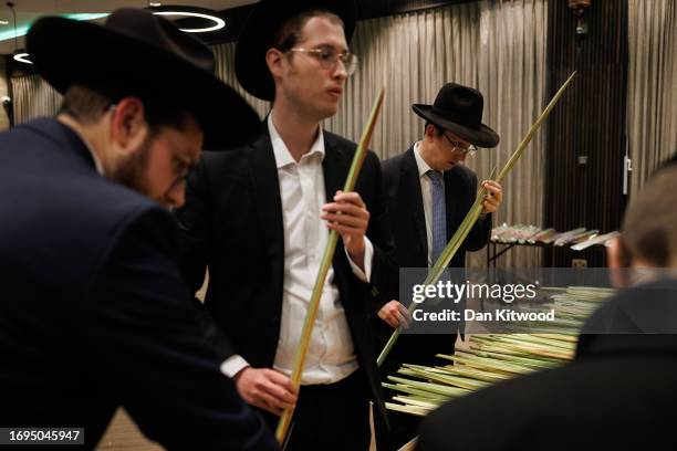 Members of the Jewish community inspect Lulavs, which makes up one of the 'Four Species', or Arba Minim in Hebrew on September 21, 2023 in London,...